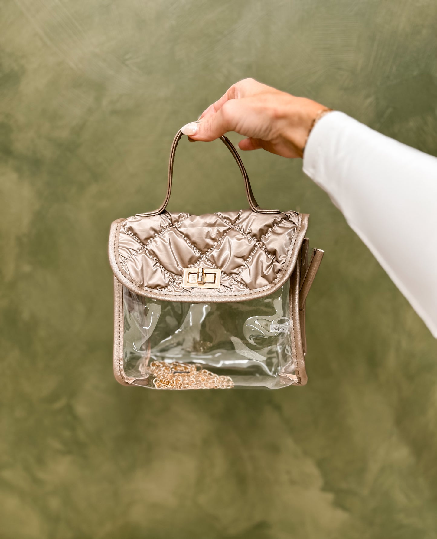 Champagne Detail Clear Bag