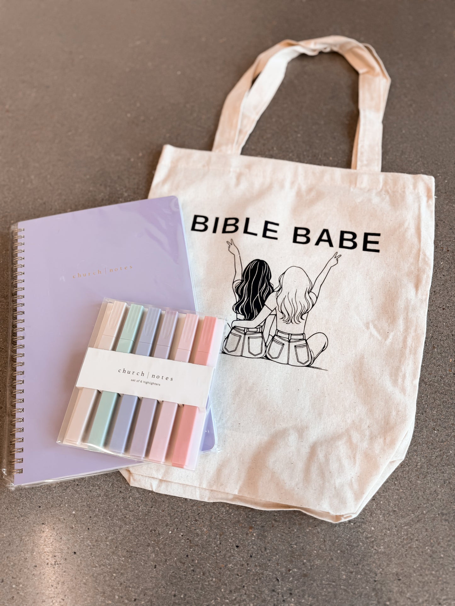 Bible Babe Bag